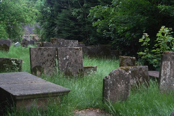 Zbliżenie Starożytnego Cmentarza Pokrytego Trawą Drzewami Wokół — Zdjęcie stockowe