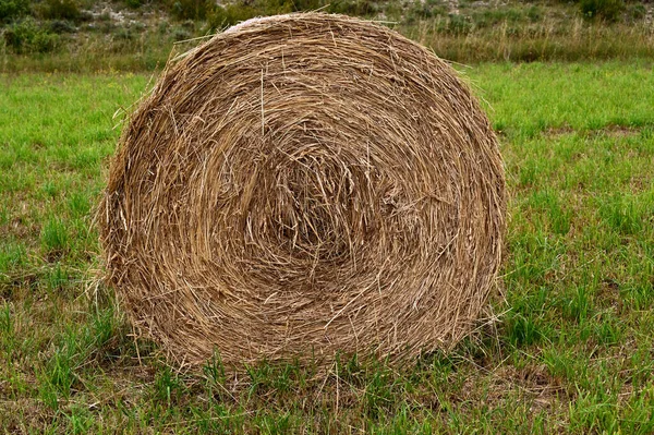 Trockene Heuhaufen Südfrankreich — Stockfoto