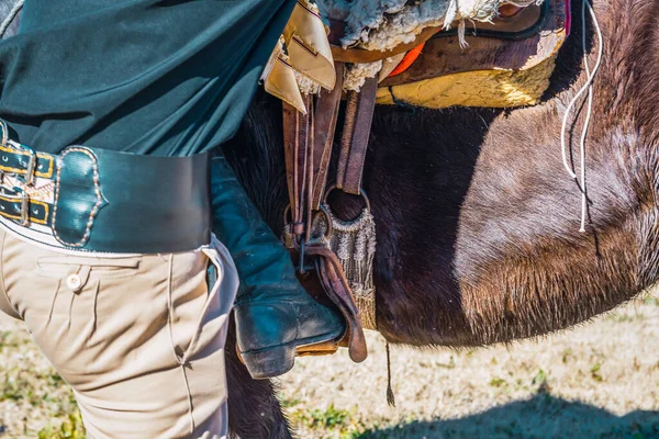 一名阿根廷骑手在田里准备骑马的特写镜头 — 图库照片