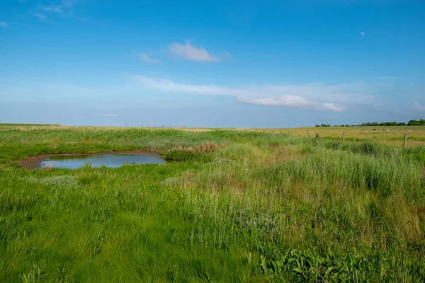 Malý Rybníček Travnaté Malebné Krajině — Stock fotografie