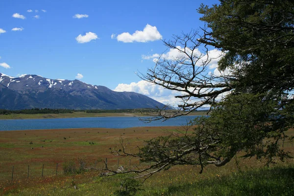 Bergen Argentinska Sjön Calafate Santa Cruz Argentina — Stockfoto