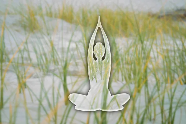 Frauensilhouette Padmasana Lotus Yoga Pose Durch Eine Neblige Berglandschaft Mit — Stockfoto