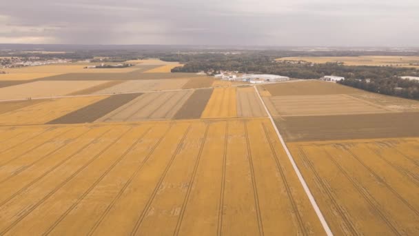 Vue Aérienne Des Champs Village Ville — Video