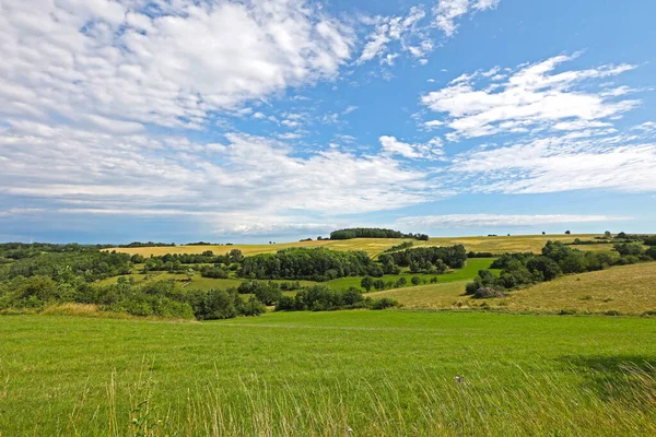 Beautiful Summer Landscapes Fields Meadows — Stock Photo, Image