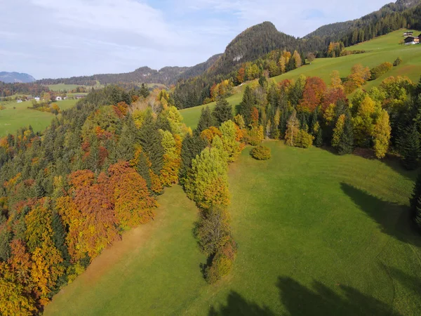 Uma Paisagem Outono Com Prados Alpinos Árvores Coloridas Alpbachtal Áustria — Fotografia de Stock