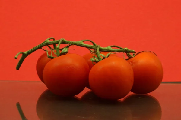 Hängen Grünen Stöcken Und Der Boden Spiegelt Die Tomaten Wider — Stockfoto