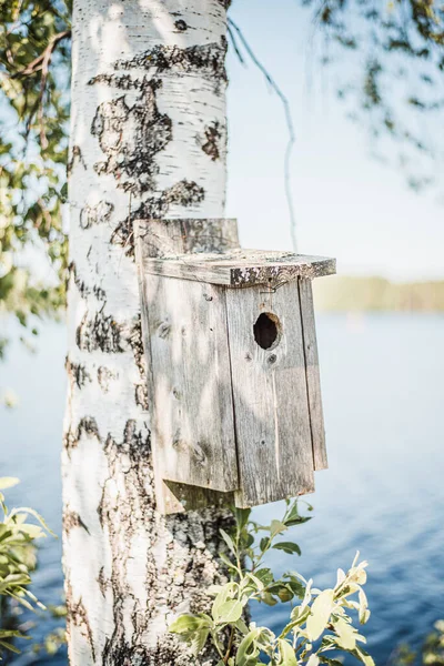 Close Casa Pássaro Montado Tronco Árvore Lado Uma Lagoa — Fotografia de Stock