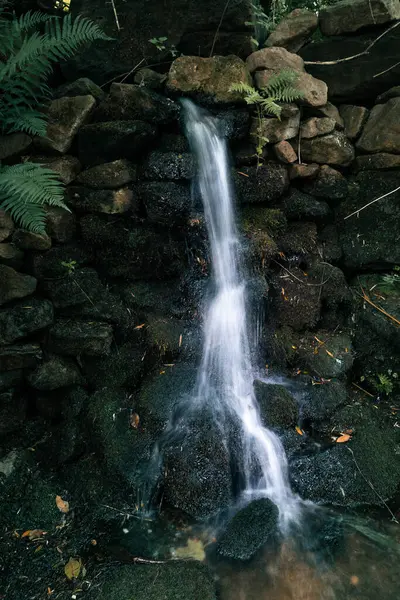一张从小瀑布拍下来的长曝光照片 绿色的饱和度很小 — 图库照片