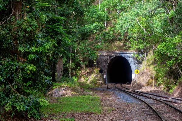 Тоннель Живописной Железной Дороге Куранда Квинсленде Австралия Железнодорожная Линия Находящаяся — стоковое фото