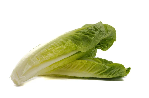 Fresh Romaine Lettuce Lying White Base White Background Good Image — Stock Photo, Image