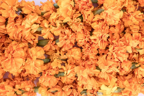 Egy Közeli Kép Gyönyörű Virágokról Fesztivál Dekorációjához — Stock Fotó