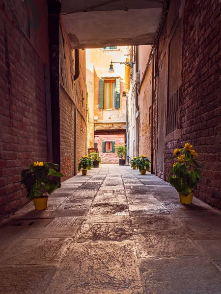성벽을 건축하는 베네치아 — 스톡 사진