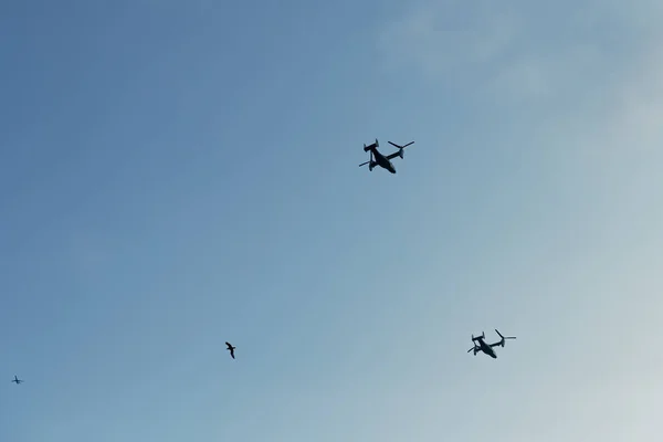 2機のヘリコプター 1機の鳥と1機の飛行機の珍しい写真深い青空と晴れた日に同じ風景の中に飛んで — ストック写真