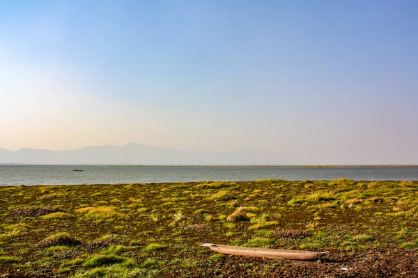 Uma Bela Vista Loktak Lake Barco Pesca Madeira Uma Costa — Fotografia de Stock