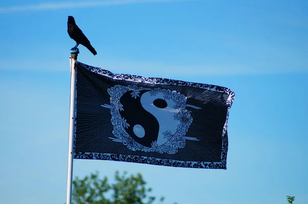 Frankfurt Alemania Junio 2021 Una Bandera Yin Yang Ondea Huerto — Foto de Stock