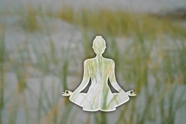 Frauensilhouette Padmasana Lotus Yoga Pose Durch Eine Neblige Berglandschaft Mit — Stockfoto