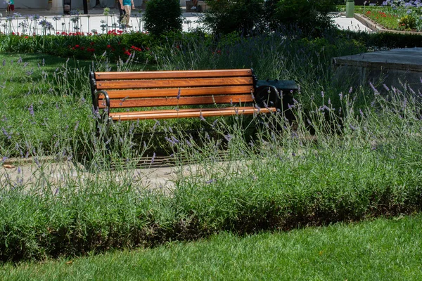 Shot Bench Park — Stock Photo, Image