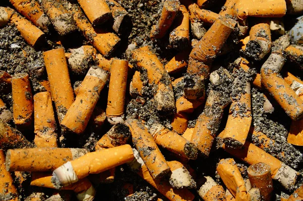 Lot Burnt Cigarette Butts Tobacco Lot Money Health Burnt Here — Stock Photo, Image