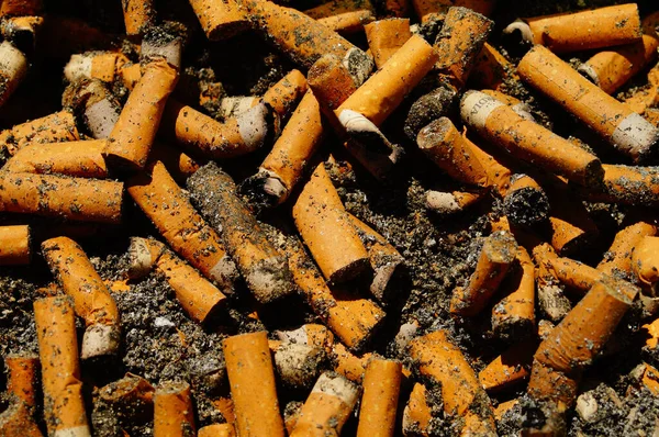 Lot Burnt Cigarette Butts Tobacco Lot Money Health Burnt Here — Stock Photo, Image