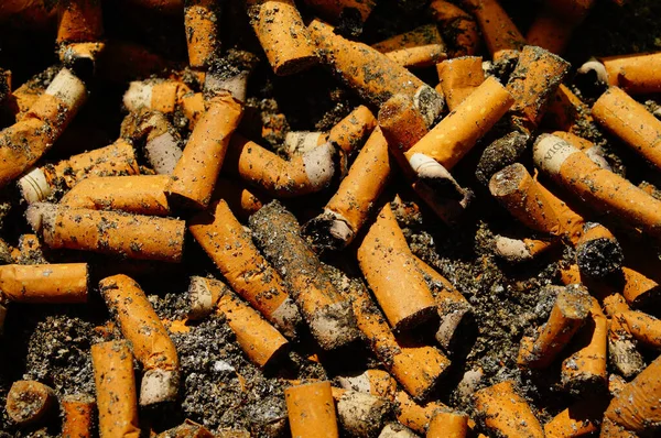 Lot Burnt Cigarette Butts Tobacco Lot Money Health Burnt Here — Stock Photo, Image
