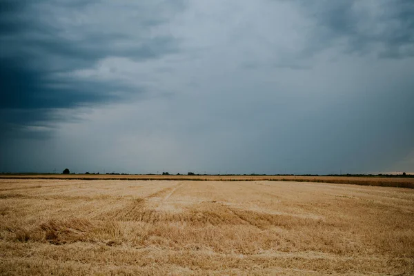 暗い曇り空の下 田舎の美しい厚い干し草畑 — ストック写真