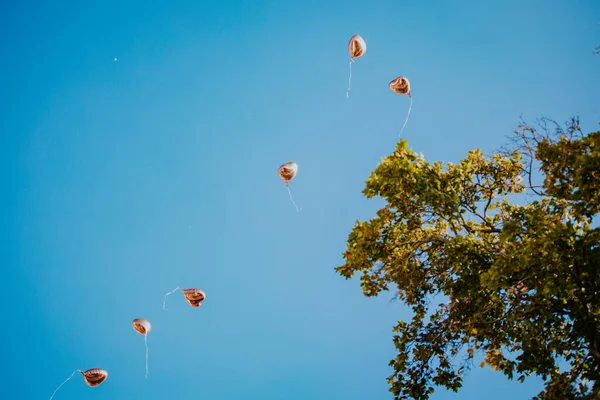 Verschillende Ballonnen Zweven Weg Tegen Blauwe Lucht Een Zonnige Dag — Stockfoto
