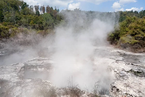 Los Géiseres Rodeados Árboles Nueva Zelanda — Foto de Stock