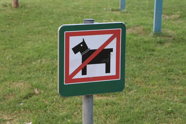 Het Bordje Geen Honden Toegestaan Het Gazon — Stockfoto