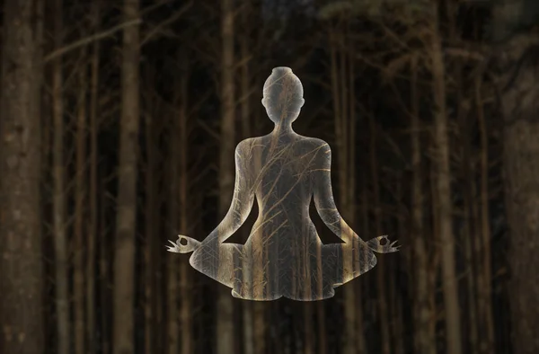 Frauensilhouette Padmasana Lotus Yoga Pose Durch Eine Neblige Berglandschaft Mit — Stockfoto