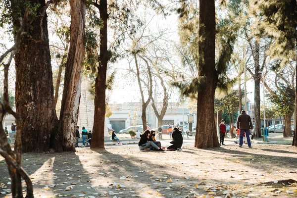 Ytlig Fokusbild Människor Som Njuter Den Soliga Dagen Höstpark — Stockfoto