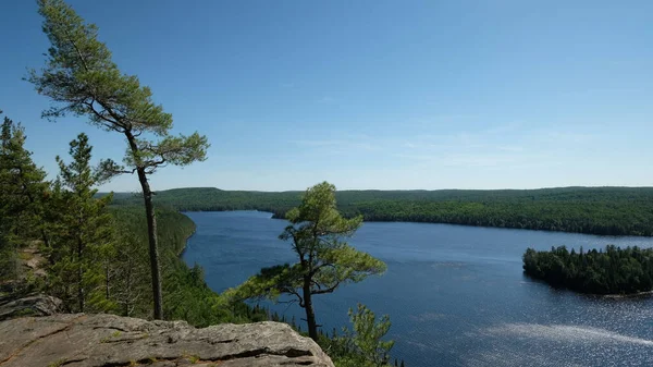 Lac Entouré Végétation Verte — Photo