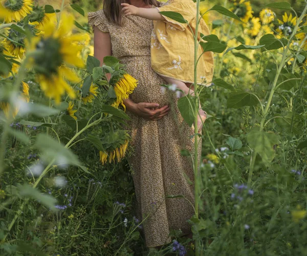 Pregnant Woman Cream Dress Holding Her Daughter Walking Sunflower Field — Stock Photo, Image