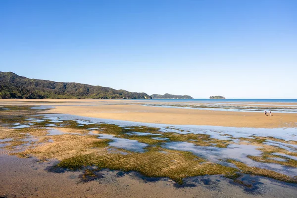 Piękna Plaża Nowej Zelandii Zalesionymi Górami Tle — Zdjęcie stockowe