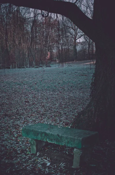 Vertikal Bild Stenbänk Höstparken — Stockfoto