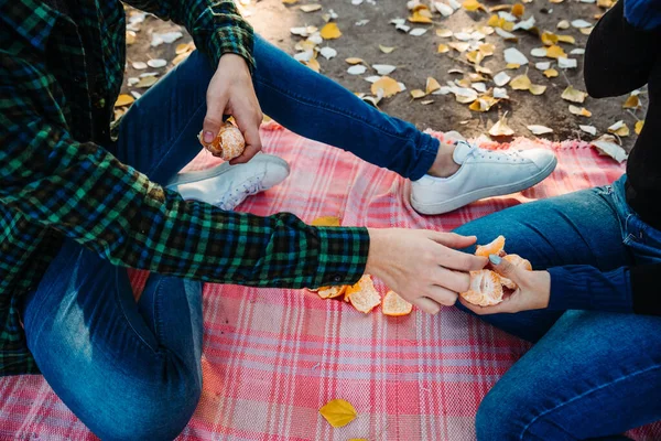 Plano Superficial Tipo Una Dama Sentados Una Manta Picnic Parque —  Fotos de Stock