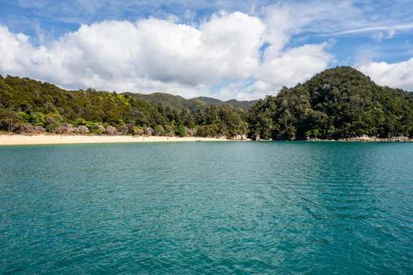 Bergen Bij Oceaan Bedekt Met Tropische Bomen Nieuw Zeeland — Stockfoto