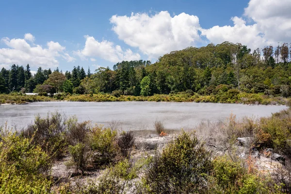 Lago Calmo Cercado Por Árvores Nova Zelândia — Fotografia de Stock