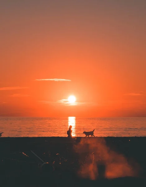 Vertical Shot Beautiful Sea Red Sunset Silhouettes Girl Her Dog — Stock Photo, Image