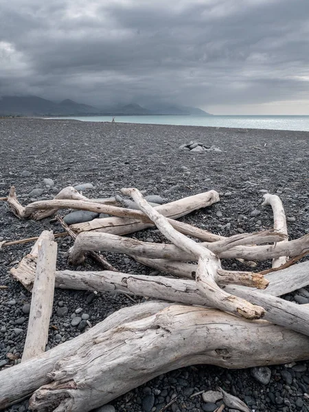 Tumpukan Kayu Apung Tepi Danau Berbatu — Stok Foto