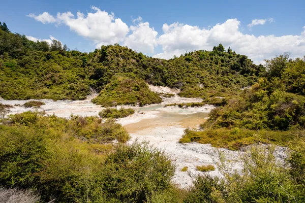 Beboste Bergen Aan Kust Van Een Zee New — Stockfoto