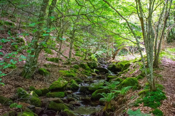 Närbild Vattenfall Genom Mossiga Stenar — Stockfoto