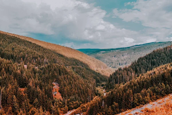 Yeşillik Kaplı Tepelerin Dağların Güzel Bir Görüntüsü — Stok fotoğraf