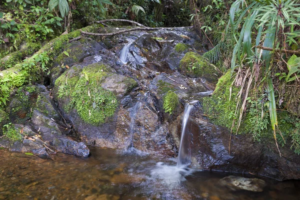Wasserbewegung Den Bergen Guatemalas Sauberes Und Reines Wasser Einem Naturschutzgebiet — Stockfoto