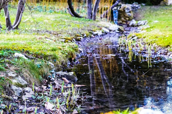 Park Setagaya Wiedniu Austria Piękny Słoneczny Dzień Żywą Zieloną Trawą — Zdjęcie stockowe