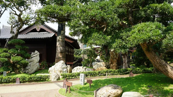 Piękny Widok Budynków Drzew Nan Lian Garden Hongkongu — Zdjęcie stockowe