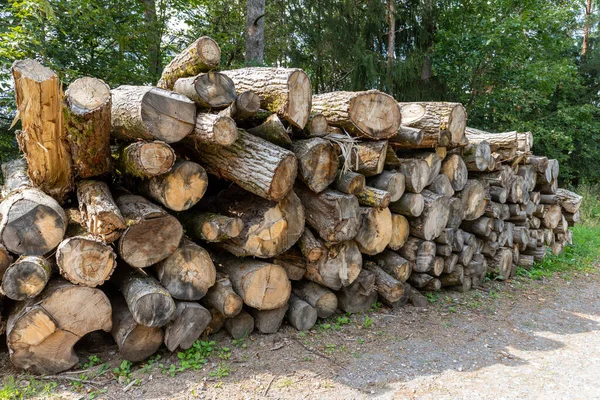 Ein Haufen Gehäckselter Baumstämme Als Brennholz — Stockfoto