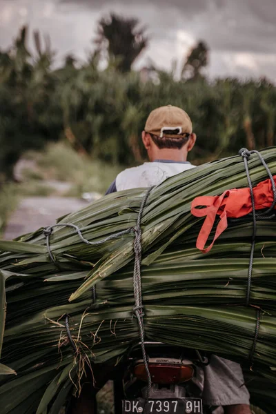 Бали Индонезия Марта 2020 Года Балийский Работник Рисового Поля Перевозит — стоковое фото