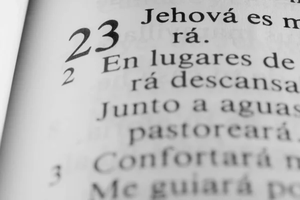 Detalle Biblia Escrita Español Versículos Religiosos Muy Antiguos — Foto de Stock