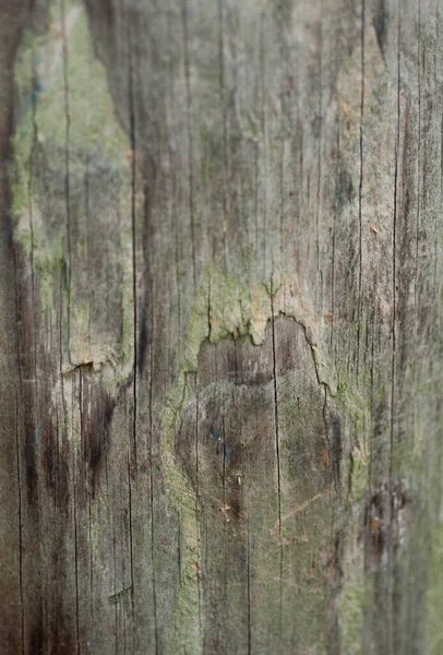 Eine Vertikale Makroaufnahme Einer Rustikalen Holzstruktur — Stockfoto