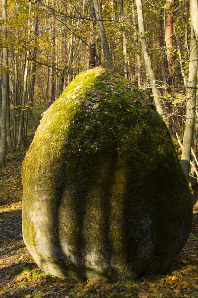 Huge Stone Forming Sculpture Space Unknown Growth Vilnius — Stock Photo, Image